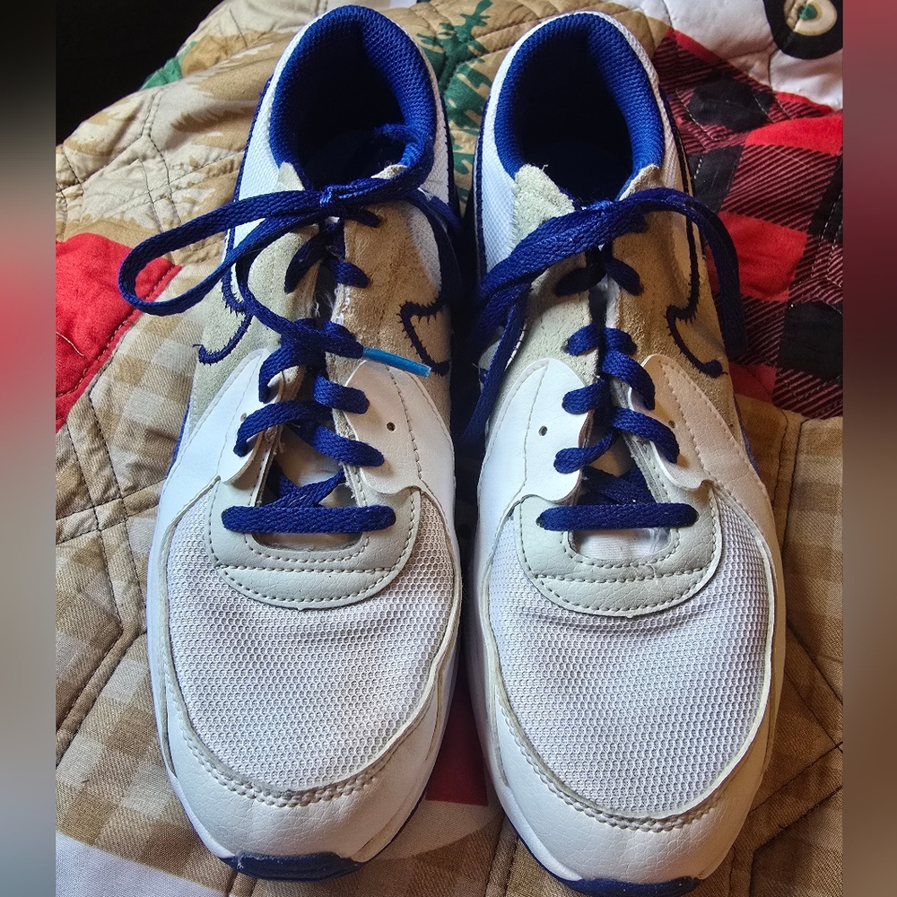 Nike Kids Sneakers - White and Blue